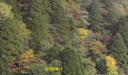 D3御在所岳20151015.jpg