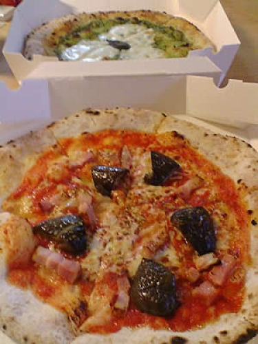 tenocotta00.jpg