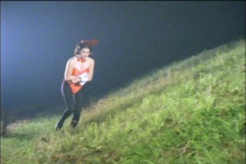 PDVD_262.jpg