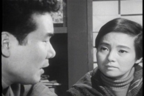 PDVD_036.jpg
