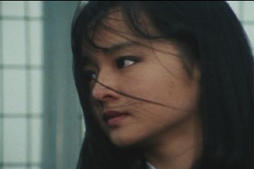 PDVD_002.jpg