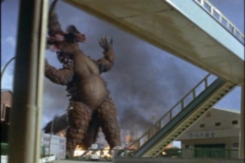 PDVD_004.jpg
