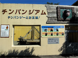 シャボテン7.jpg