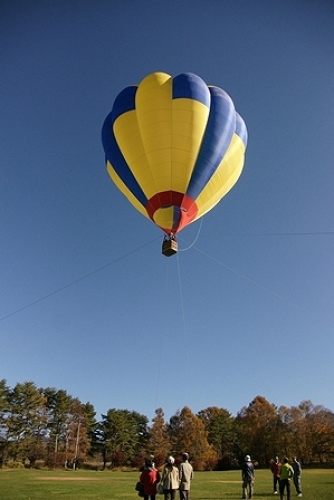 DSC00315.jpg