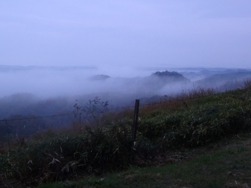 DSC02092.jpg