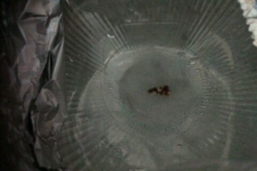 2016-11-21 9-56-39.jpg