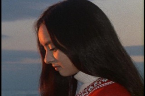 PDVD_016.jpg