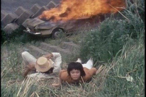 PDVD_015.jpg