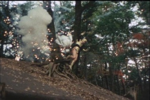 PDVD_001.jpg