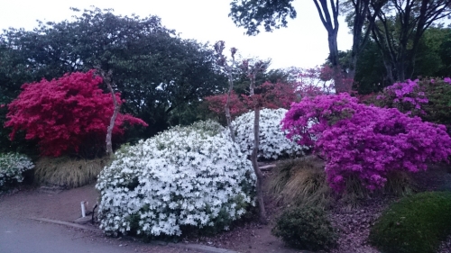 CYMERA_20150518_184026.jpg