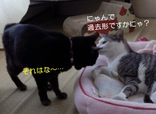 20150528_3.jpg