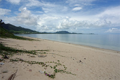 石垣273.jpg