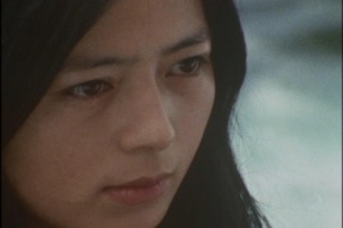 PDVD_003.jpg