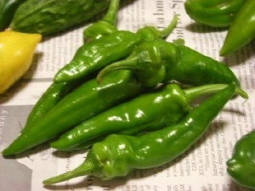 DSCN2955 (300x225).jpg