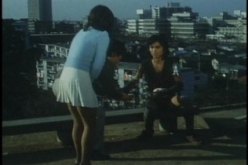 PDVD_011.jpg