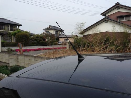 2014_4_19_4.jpg
