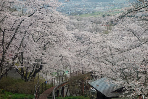 船岡11.jpg