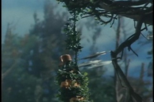 PDVD_031.jpg