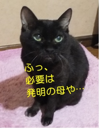 20130404_9.jpg
