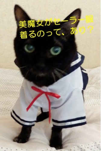 20130805_4.jpg