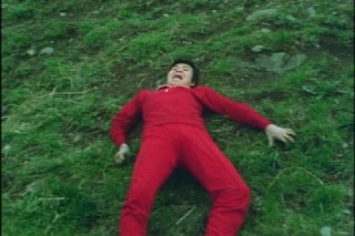 PDVD_007.jpg