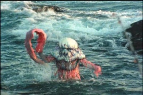 PDVD_020.jpg