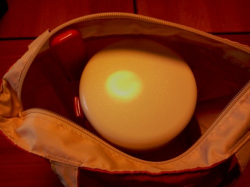 Thermos コウバイのバッグ中身