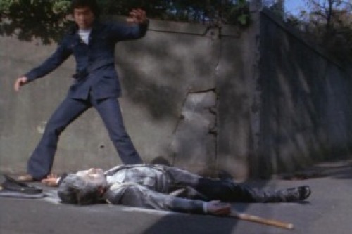 PDVD_015.jpg