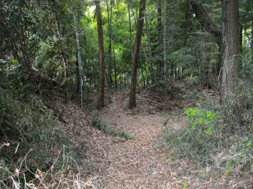 勝沼城空堀 (500x375).jpg