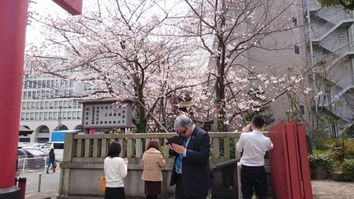 C:\fakepath\160331_★7：桜御霊神社_写真を撮るサラリーマン.JPG