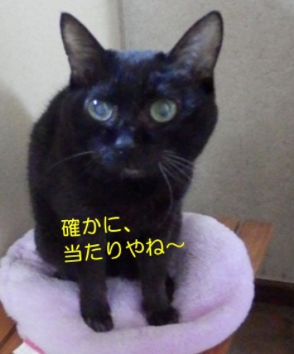 20140331_7.jpg