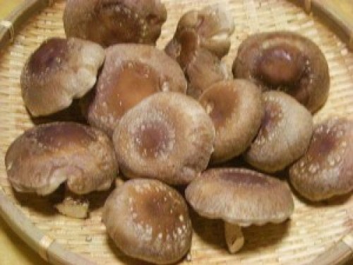 DSCN1630 (300x225).jpg