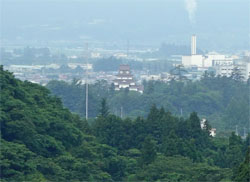 東鳳74.jpg