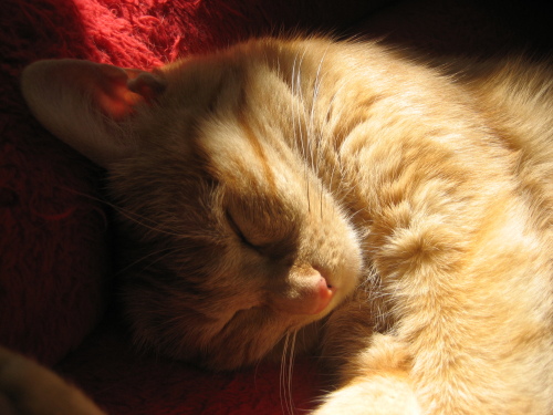 Sept. 10, 2013(5).JPG