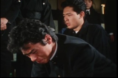 PDVD_105.jpg