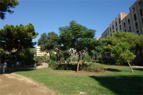 スペイン887.jpg