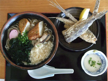 屋久島114.jpg