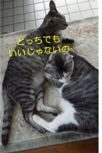 20140715_5.jpg