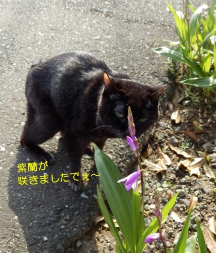 20150503_2.jpg