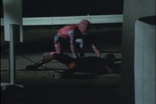 PDVD_003.jpg