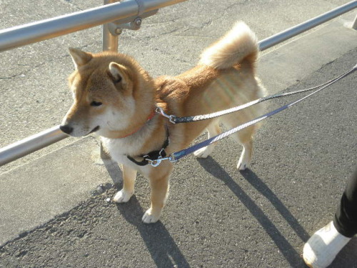 画像 5037.jpg
