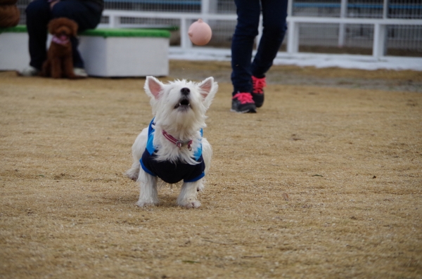 IMGP0118.jpg