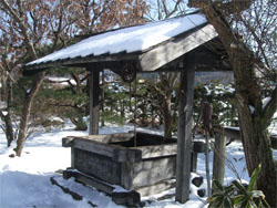 遠野15.jpg