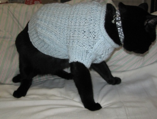 猫のセーター6.jpg