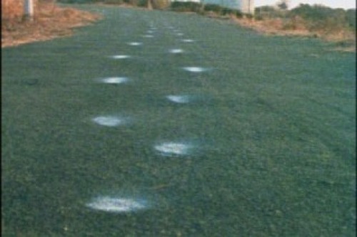 PDVD_038.jpg