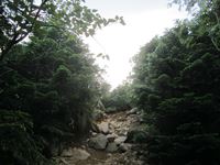 IMG_7747_R.JPG