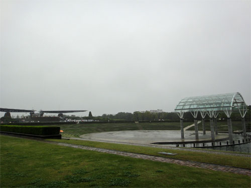 ひたち海浜公園13.jpg