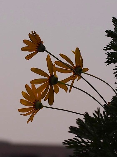 th_P2174076.jpg