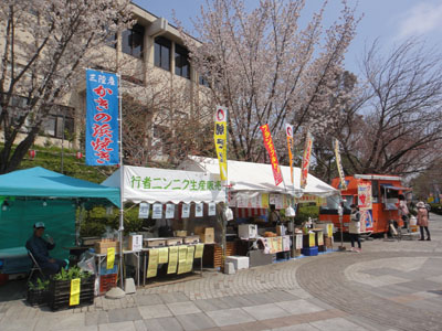 榴岡4.jpg