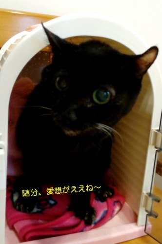 20150411_2.jpg